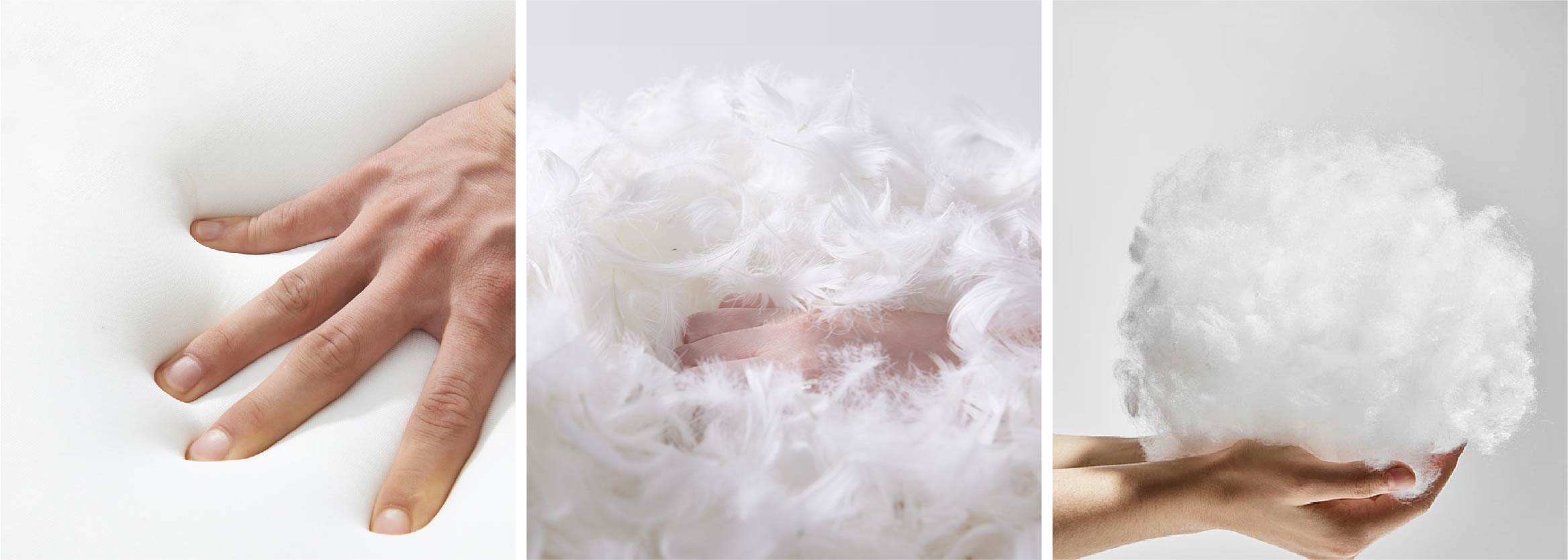 Wheat Fields-RG6241-05.jpg